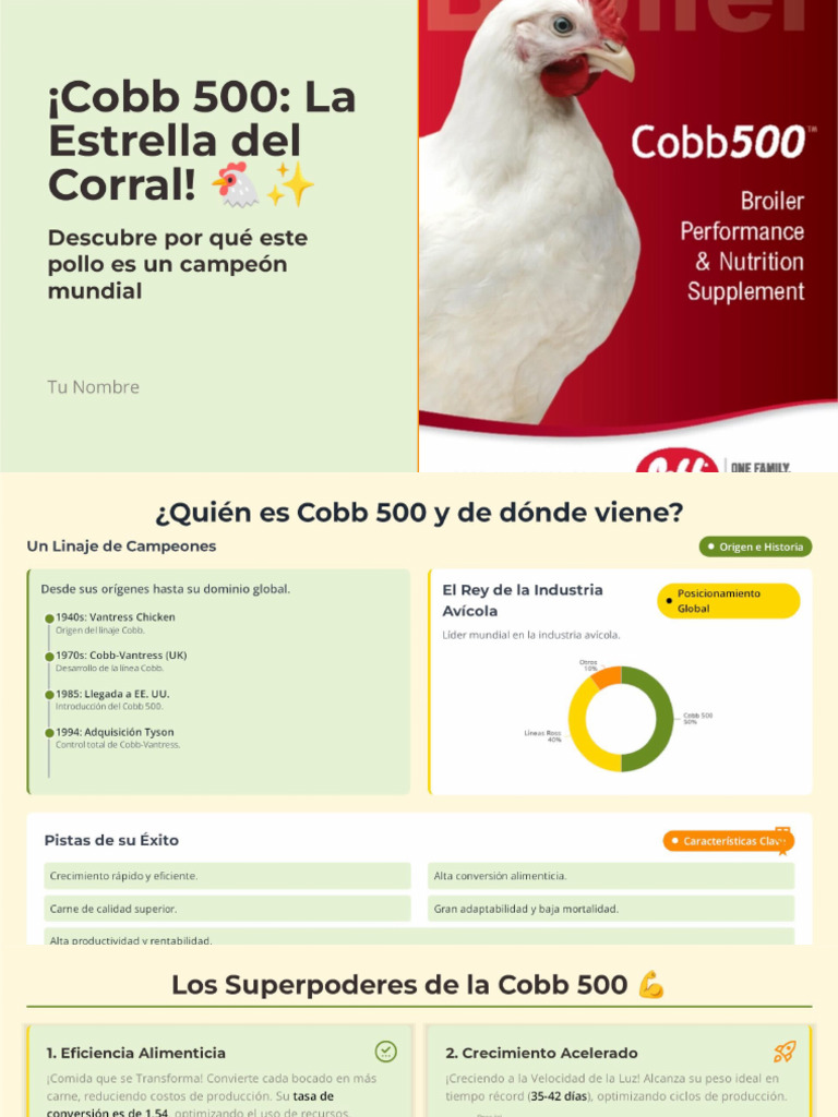 Cobb 500 Pollo de Engorde | PDF