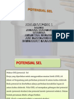 Potensi Sel