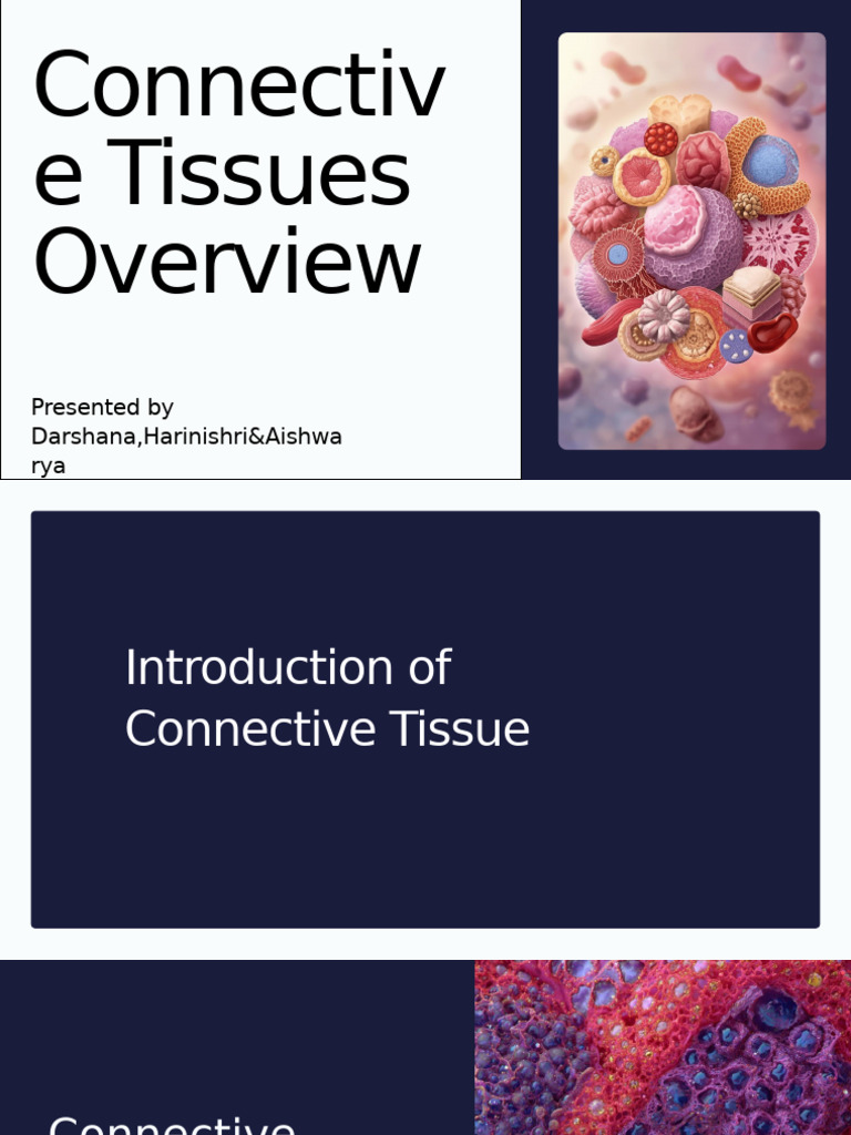 Overview of Connective Tissues | PDF | Connective Tissue | Cartilage