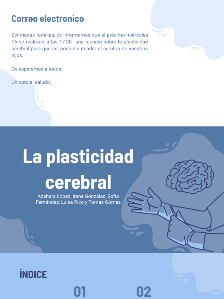 Plasticidad Cerebral 2 | PDF | Neuroplasticidad | Cerebro