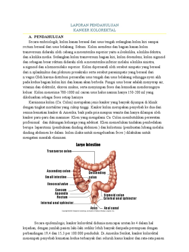 Etiologi Ca Colon