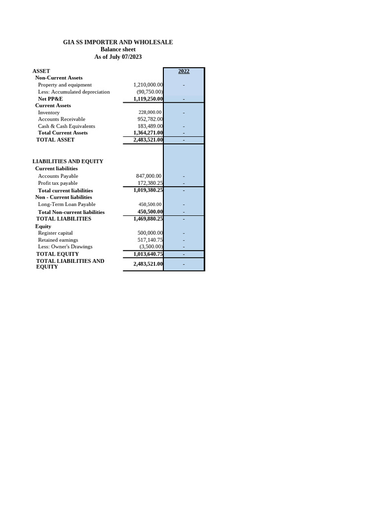 Amanuel Beza Mini Market Fs Bs is New 2 Copy | PDF | Equity (Finance ...