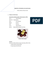 Skrining Fitokimia Buah Jengkol II