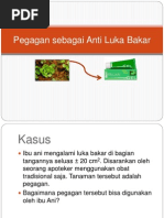 Download Pegagan Sebagai Anti Luka Bakar by Kurosaki MAyu SN96153173 doc pdf