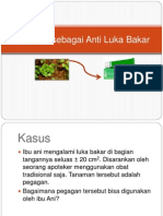 Pegagan Sebagai Anti Luka Bakar