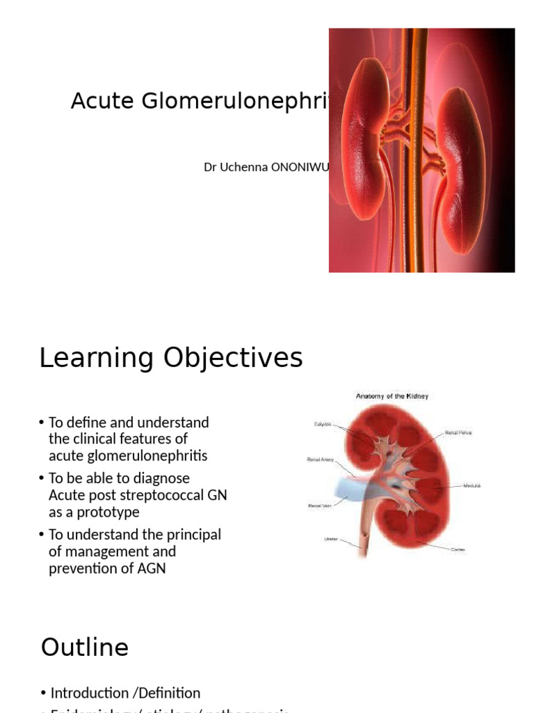Acute Glomerulonephritis............... | PDF | Clinical Medicine | Kidney