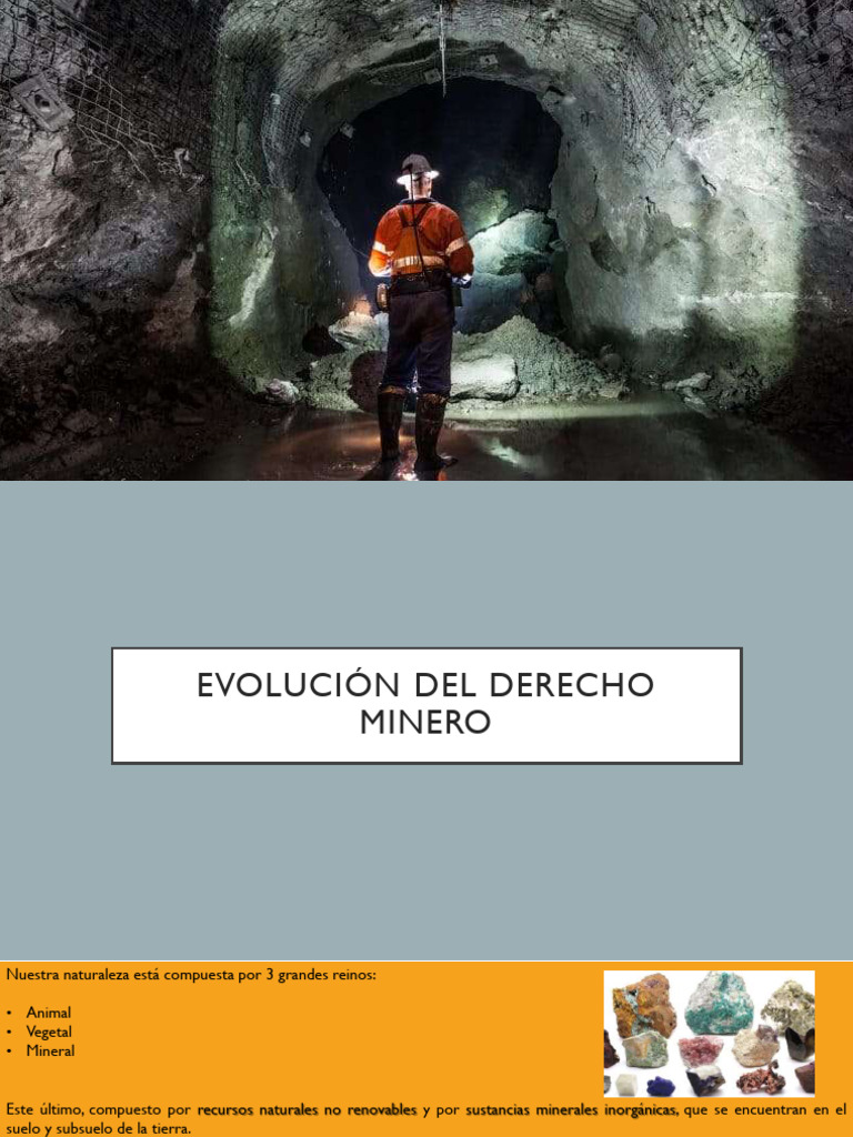 Unidad I Evolución de La Minería y El Derecho Minero | PDF | Minería ...