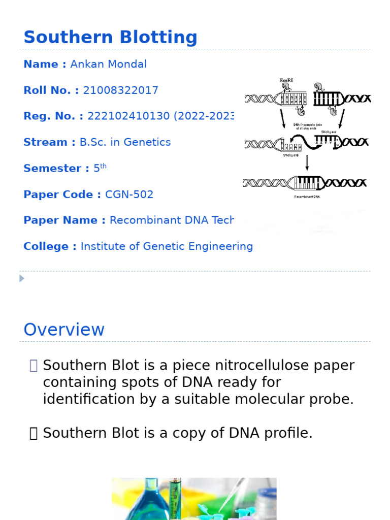 4252072 | PDF | Southern Blot | Blot (Biology)