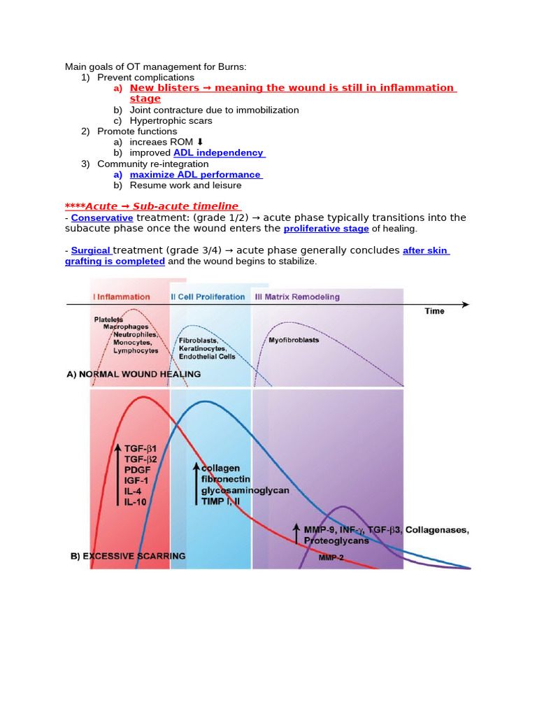 OT Management Goals for Burn Recovery | PDF | Scar | Wound