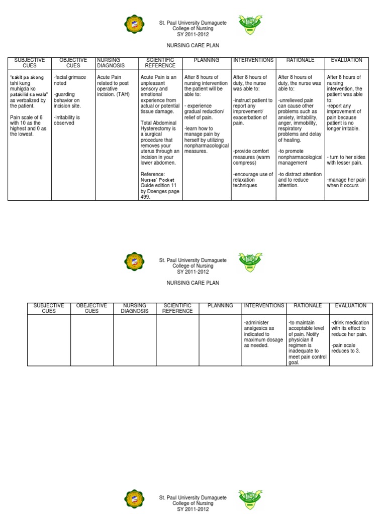 Nursing Care Plans PDF Pain Wound