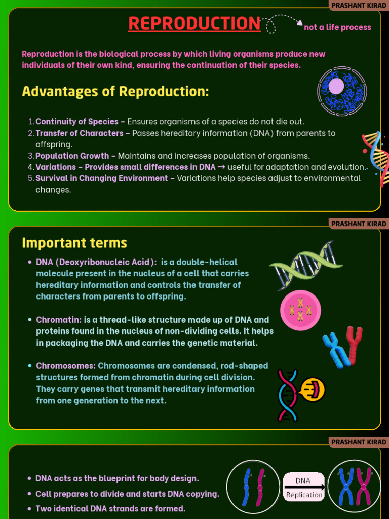 Understanding Reproduction and Variation | PDF | Flowers | Uterus
