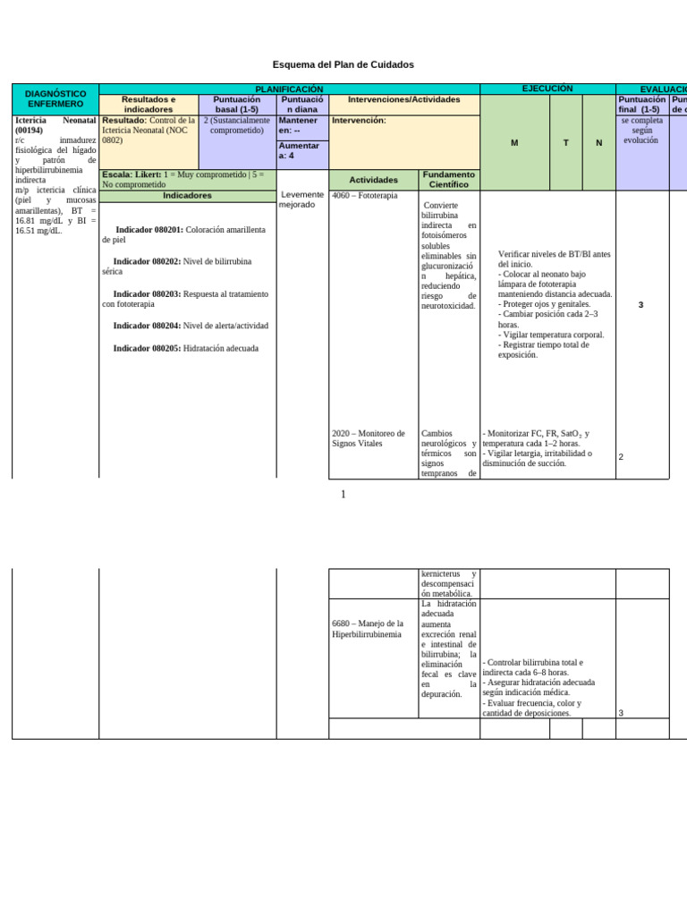 Esquema Del Plan de Cuidados Neo | PDF | Especialidades Medicas