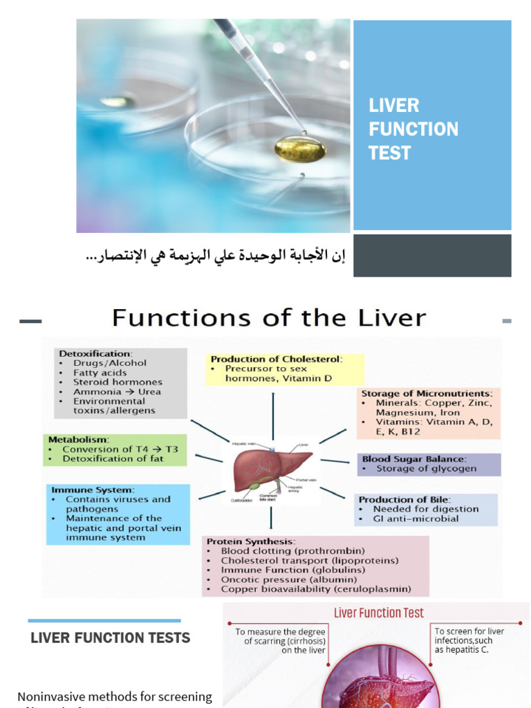Liver Function Tests and Interpretation | PDF | Alanine Transaminase ...
