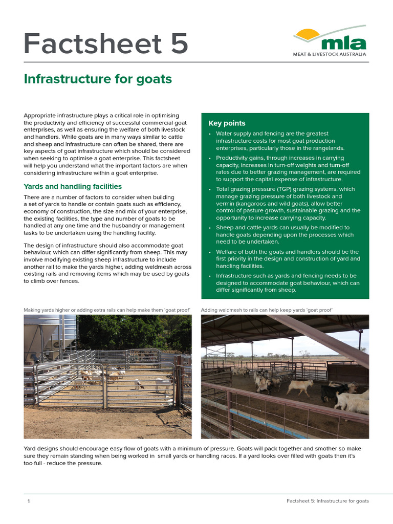 Goat Infrastructure Optimization Guide | PDF | Grazing | Goat