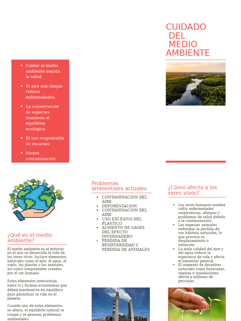 Cuidado del medio ambiente y salud | PDF | Contaminación | Entorno natural