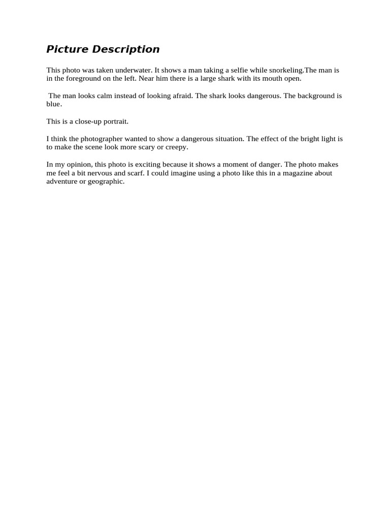 Picture Description | PDF