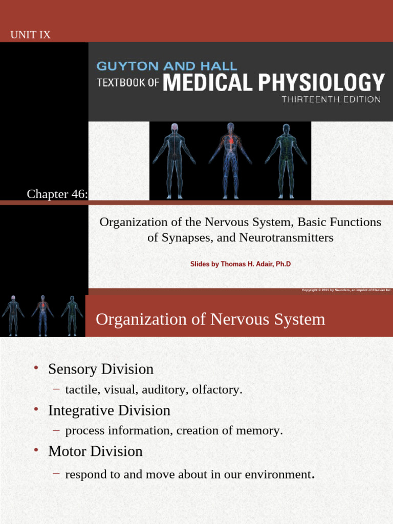 Organisation of The Nervous System, Basic Fucntions of Sysnapses, and ...
