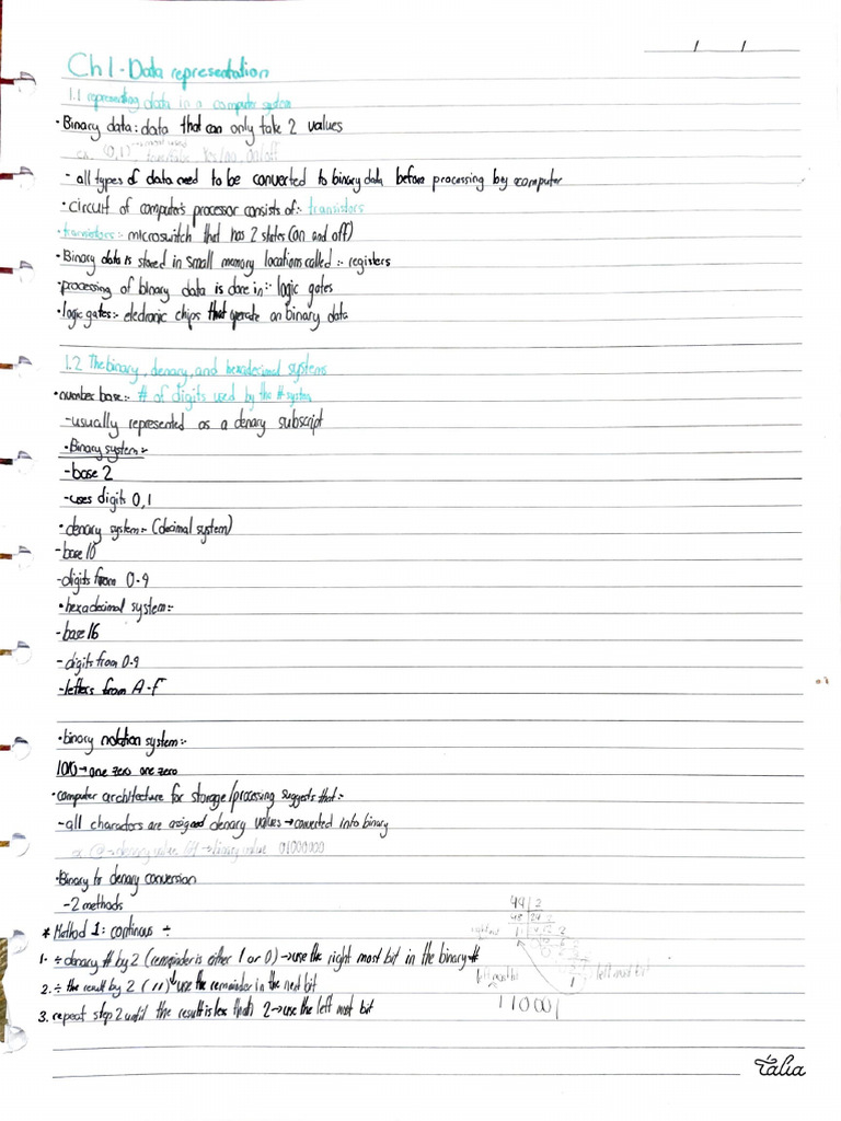 Cs Grade 11 Notes | PDF