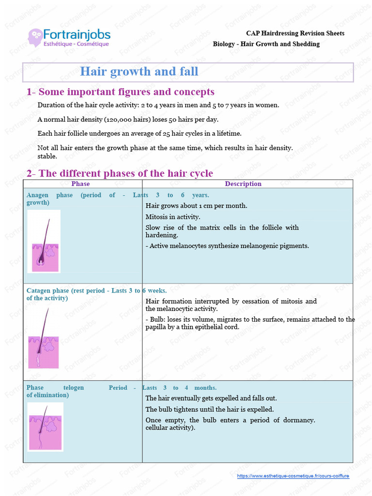 Hair Growth and Shedding Overview | PDF | Hair | Integumentary System