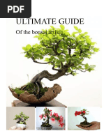 Beginner's Guide to Bonsai Techniques | PDF
