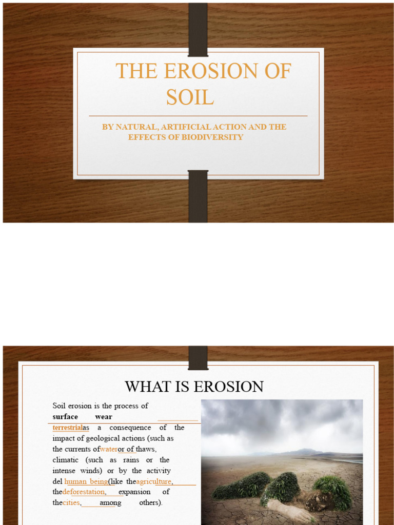 Understanding Soil Erosion and Biodiversity | PDF