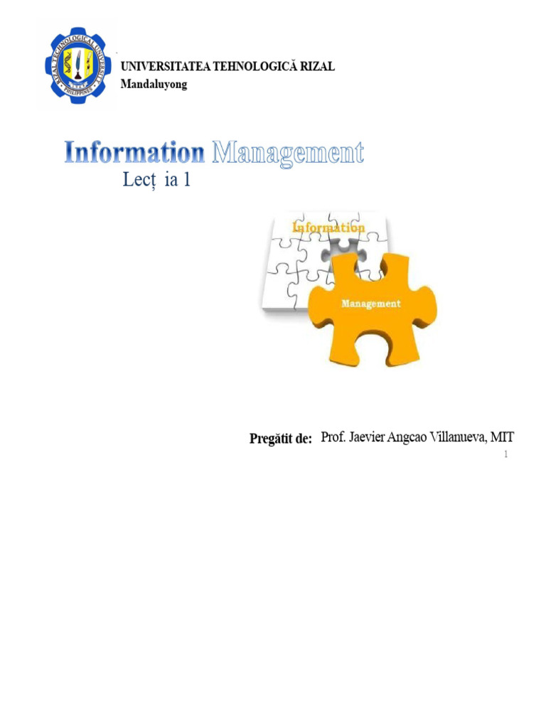 Lectia 1 Managementul Informațiilor | PDF