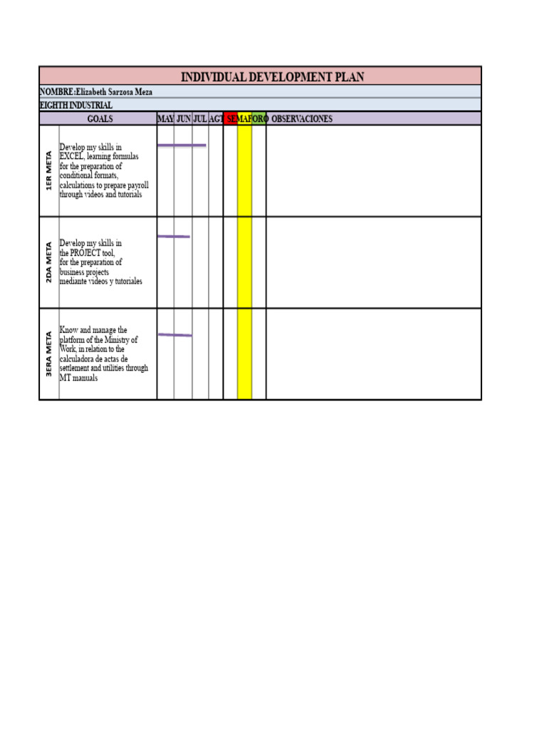 Individual Development Plan for Excel Skills | PDF