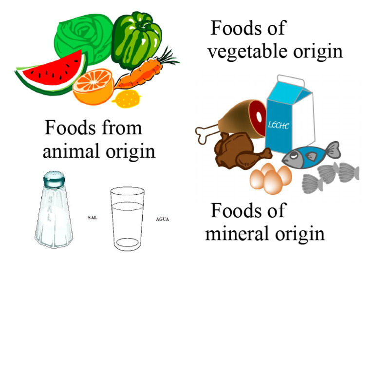 Animal, Vegetable and Mineral Origin | PDF