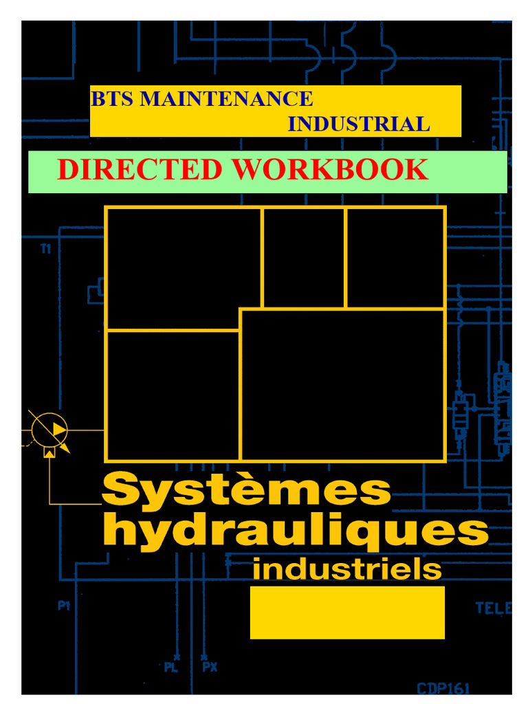Hydraulic Circuits Maintenance Guide | PDF | Valve | Pump