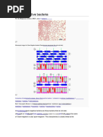Encapsulated vs Non-Capsulated Bacteria | PDF