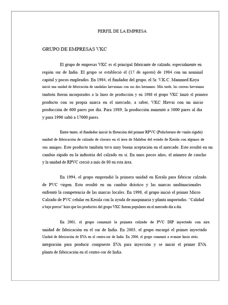 Perfil de La Empresa | PDF | Business | Marketing