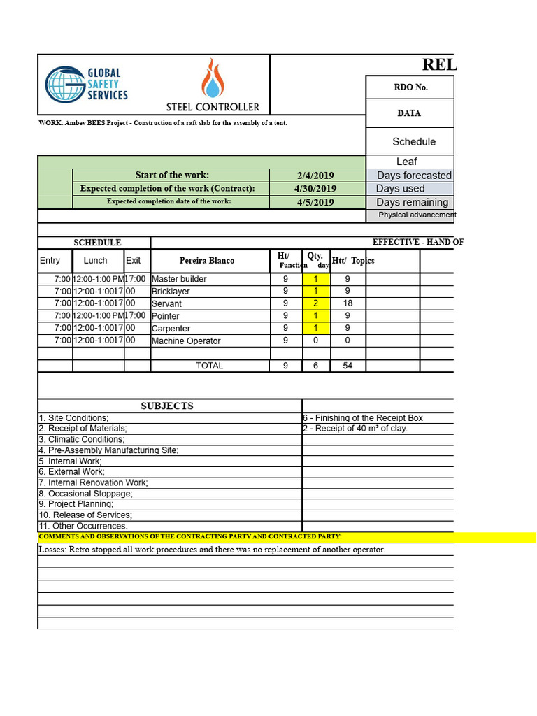 Ambev BEES Project Daily Work Report | PDF