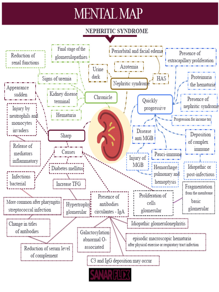 Understanding Nephritic Syndrome Symptoms | PDF | Medical Specialties ...
