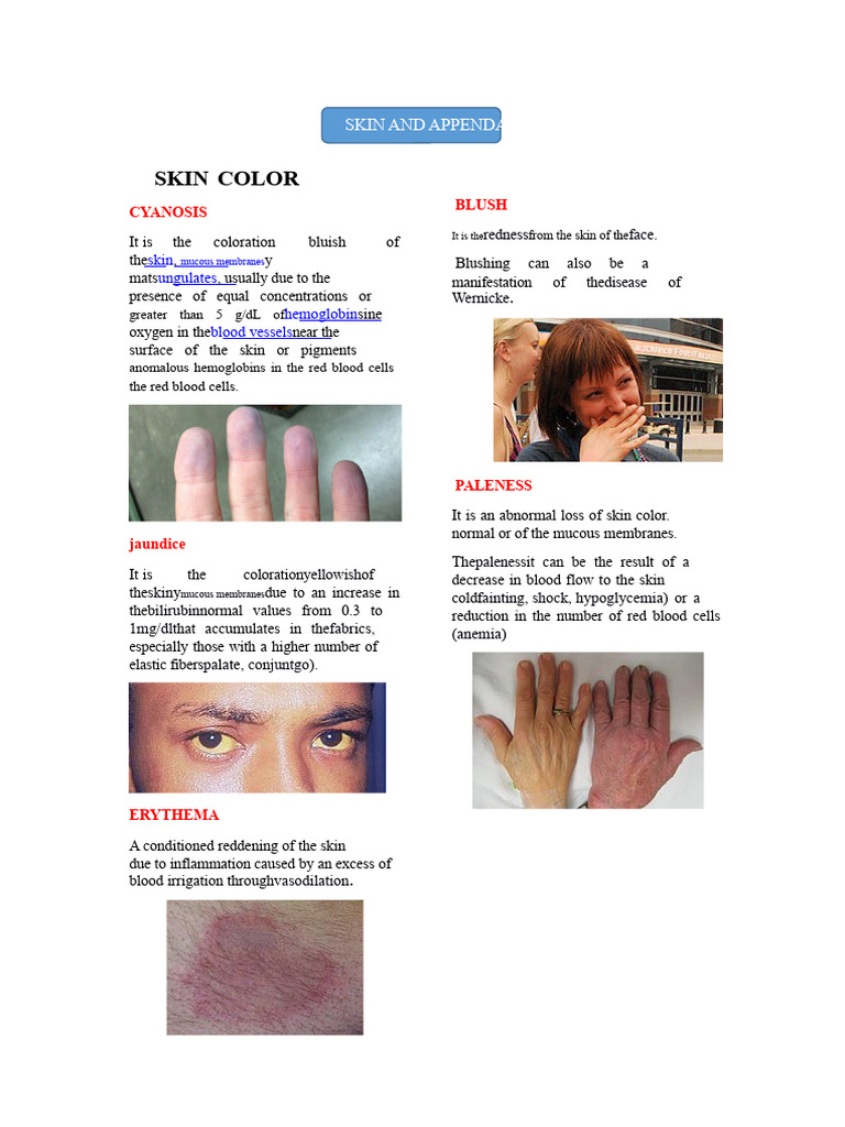 Skin Color | PDF | Skin | Scar