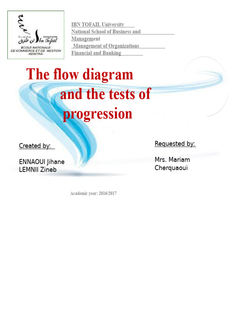 The Flow Diagram and Path Testing Version | PDF | Audit