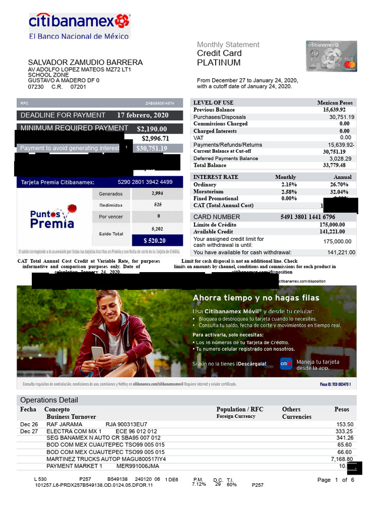 Credit Card Monthly Statement Summary | PDF | Credit Card | Money
