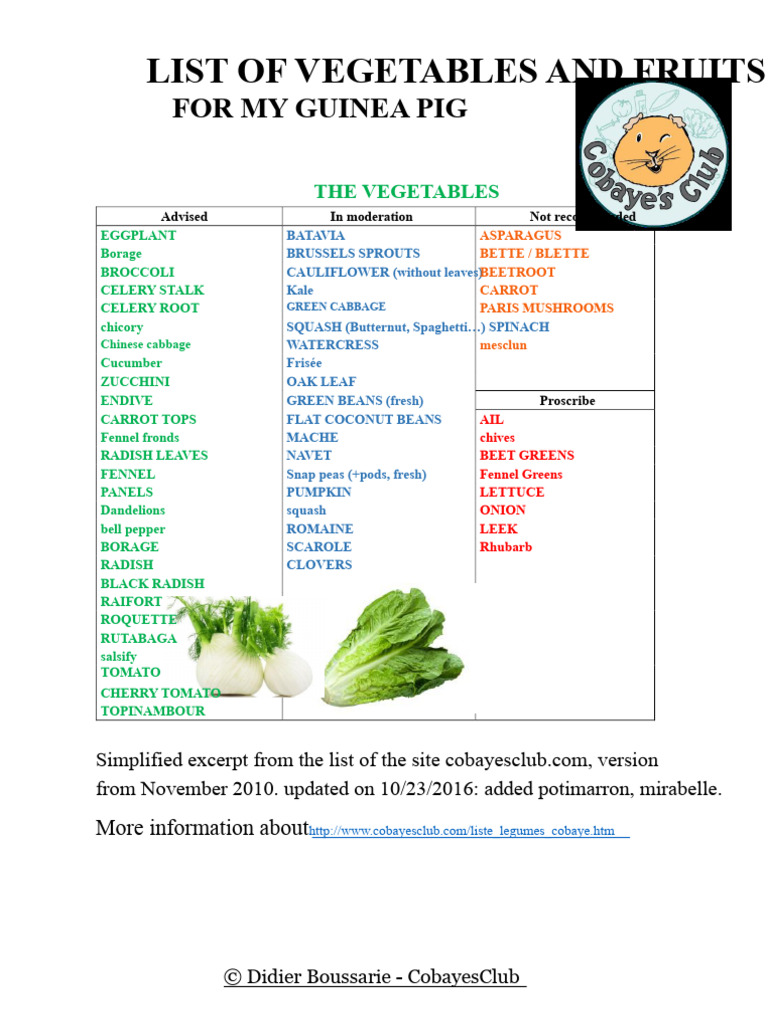 Fruits Safe For Guinea Pigs Reference: Guinea Pig Safe Fruits And Vegetables Pdf Fruit