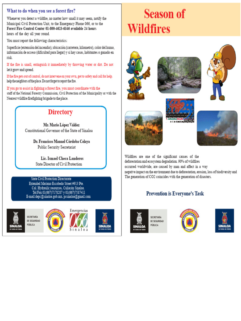 How to Report and Manage Wildfires | PDF | Wildfire | Ecology