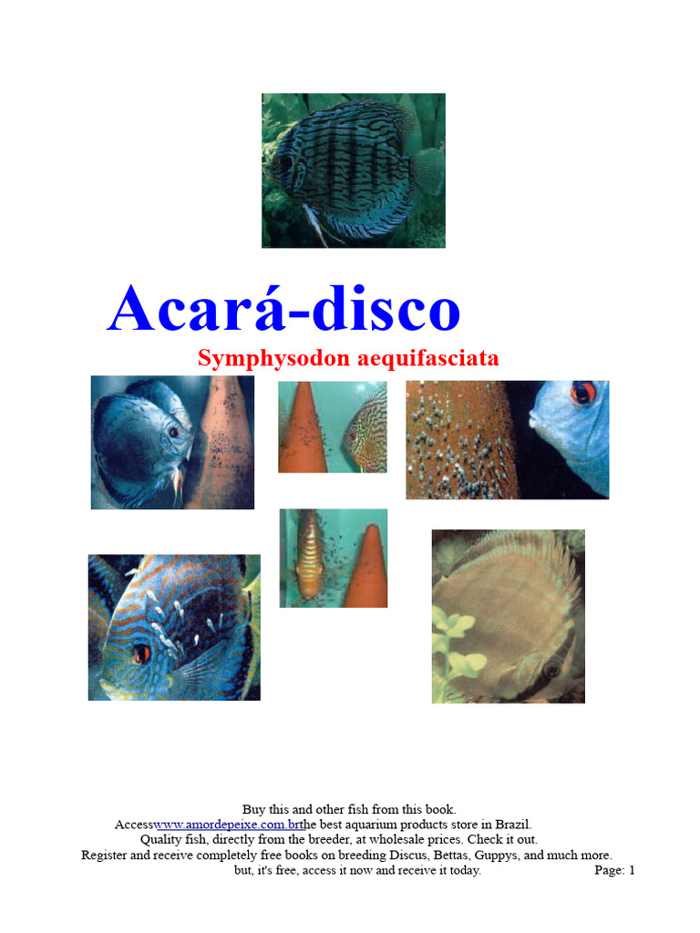 Discus Fish Care and Breeding Guide | PDF | Aquarium | Fishkeeping