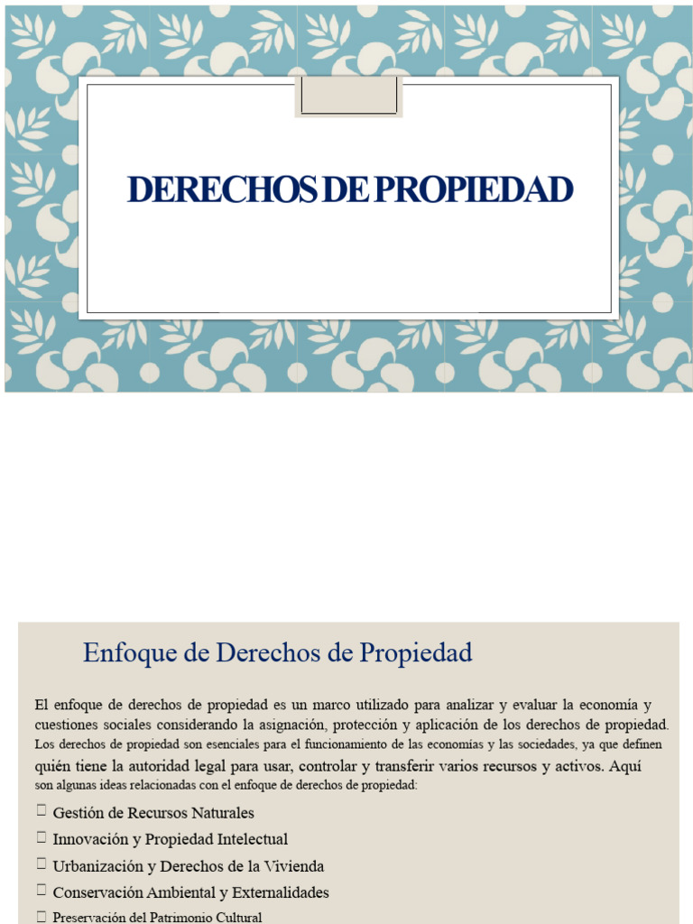Enfoque y Teorías de Derechos de Propiedad | PDF | Propiedad | Exterioridad