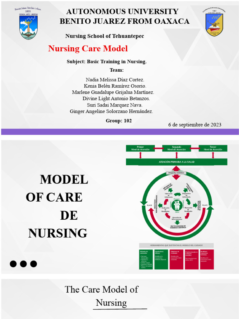 Nursing Care Model Overview | PDF | Medical Diagnosis | Nursing