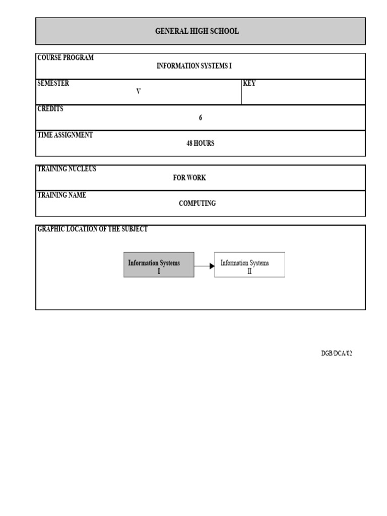 INFORMATION SYSTEMS | PDF | System | Computer Programming