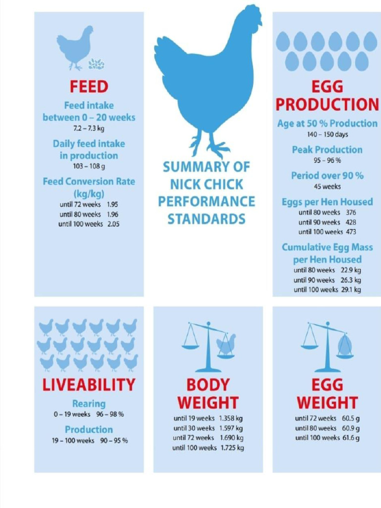 Nick Chick | PDF