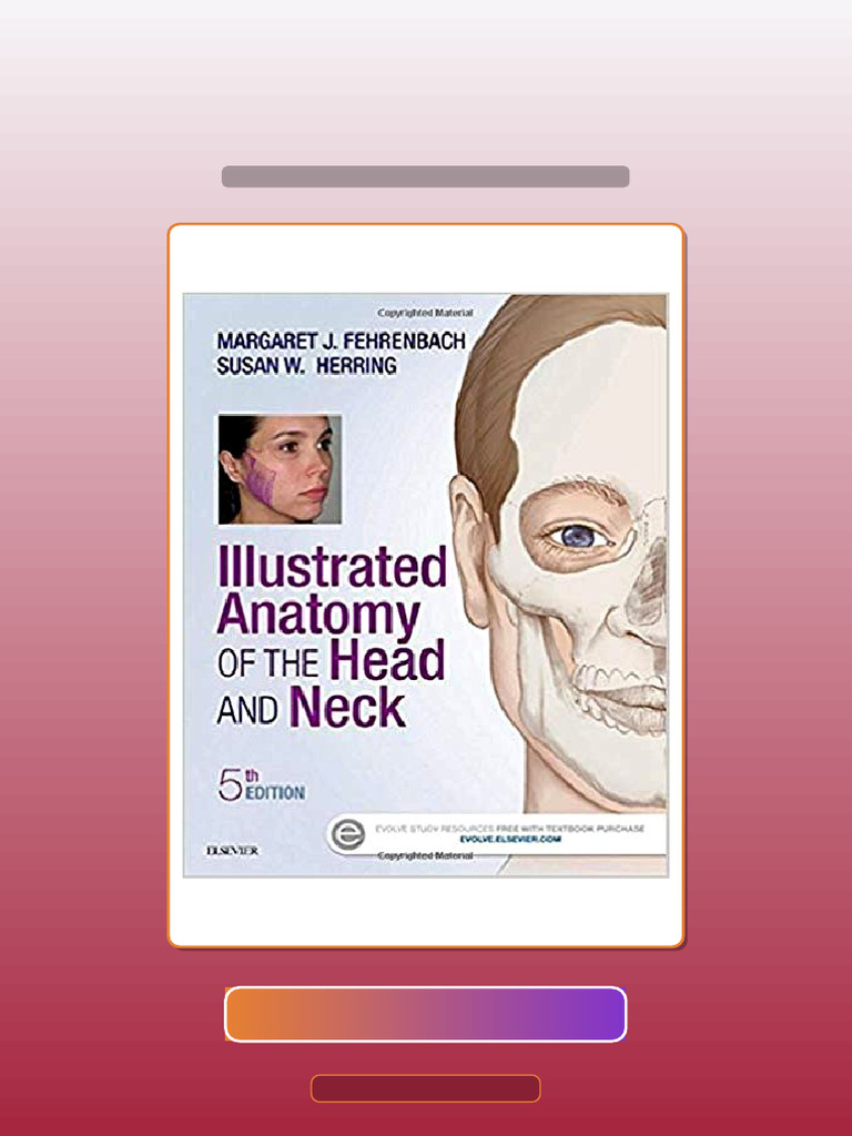 Test Bank for Illustrated Anatomy of the Head and Neck 5th by ...