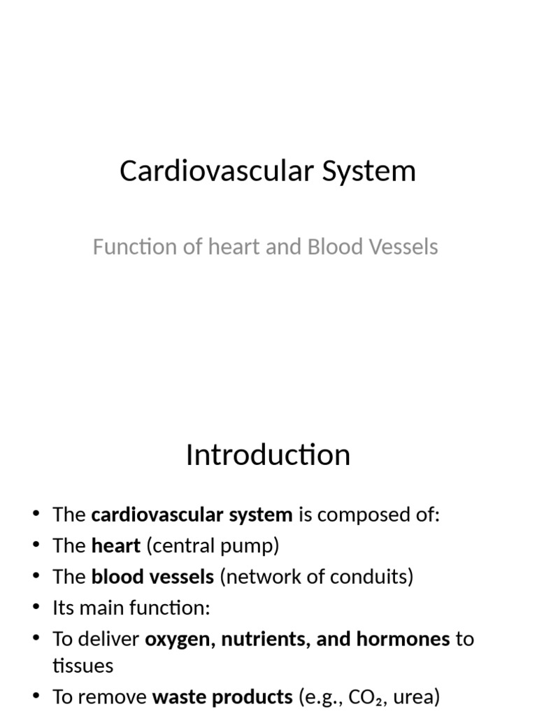 Cardiovascular System Overview and Functions | PDF | Heart | Heart Valve