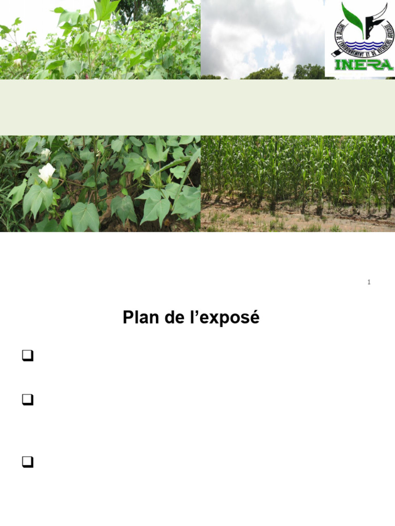 Gestion de la fertilité des sols au Burkina | PDF | Fertilité des sols ...