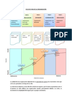 Ciclo de Vida de La Organización