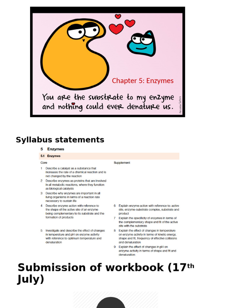 Chapter 5. Enzymes 1 | PDF | Enzyme | Active Site