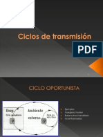 Parasitosis Zoonóticas Ejemplos Clasificación Prevención