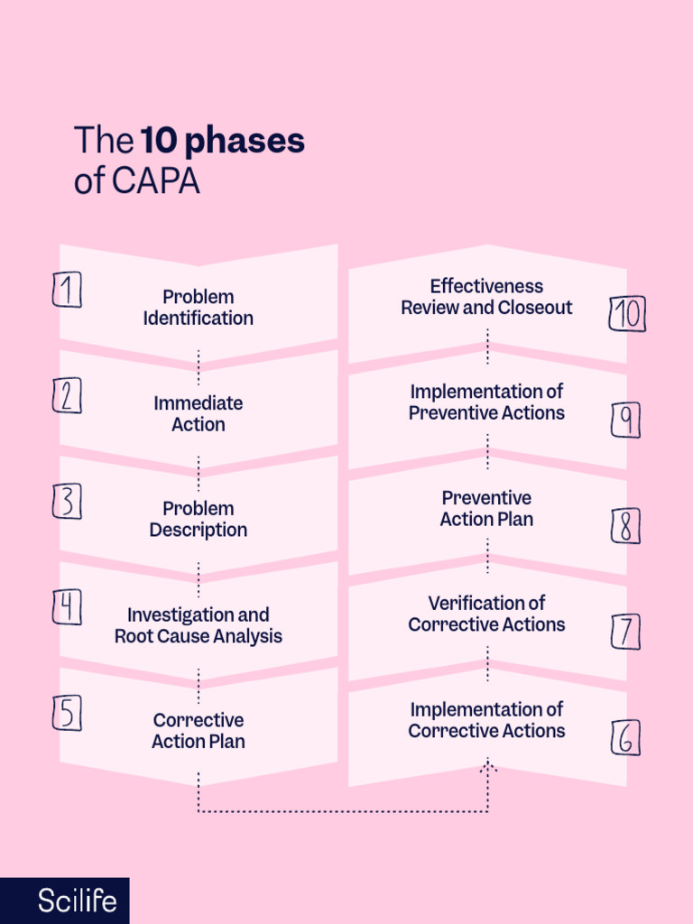 10 Phases of CAPA Explained | PDF | Systems Thinking